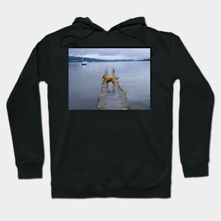 When the boat comes in... Hoodie